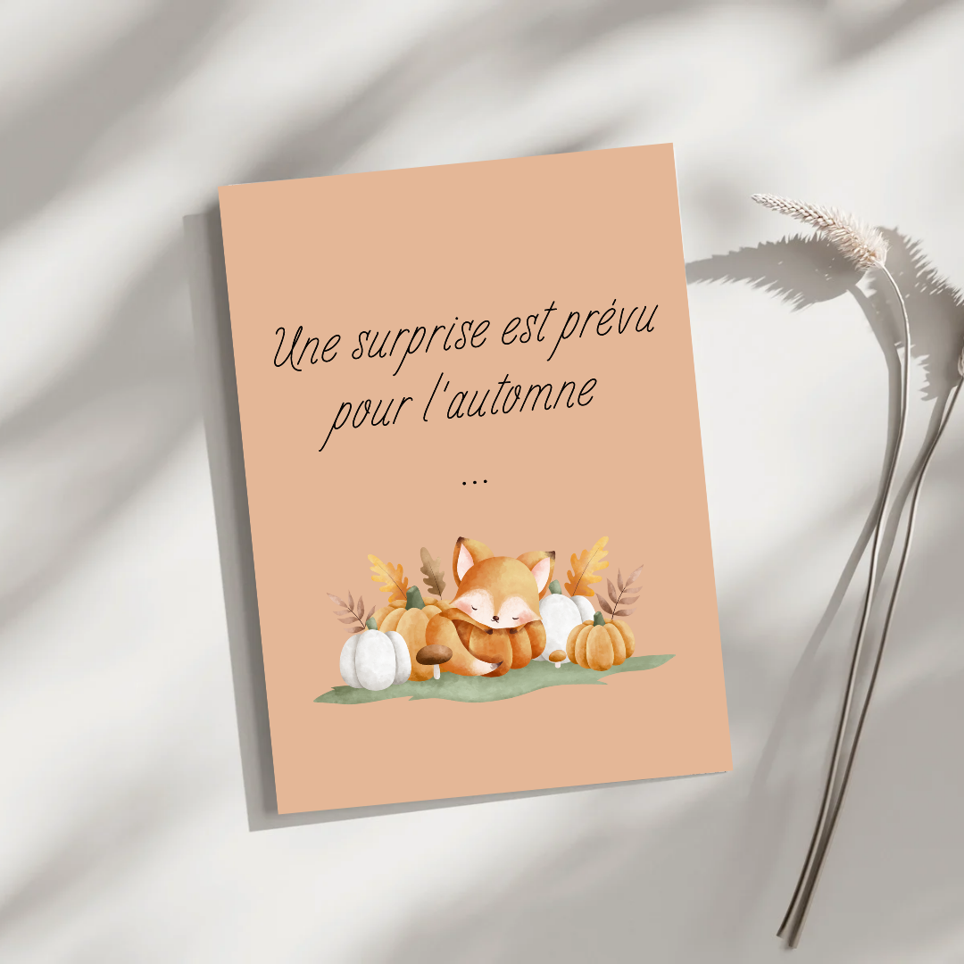 Annonce Grossesses – Image 4